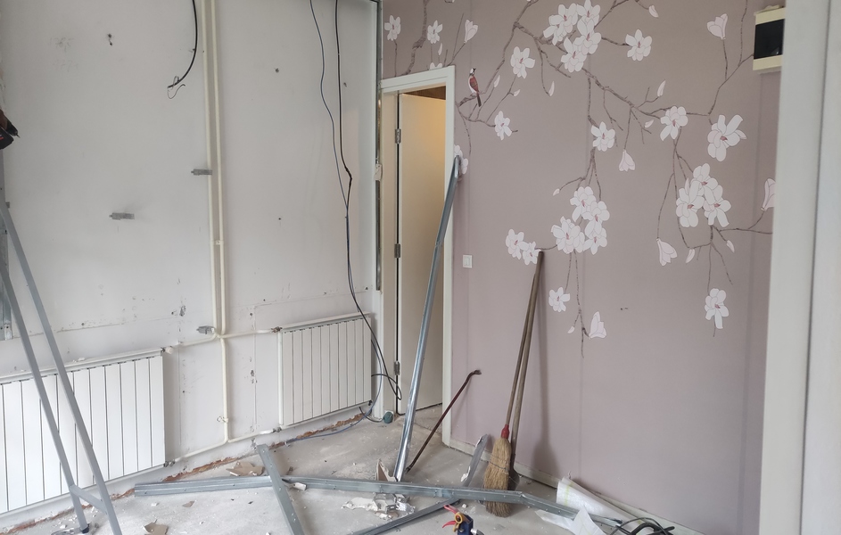 Rekonstrukcija stana: renoviranje i adaptacija stana u Belvilu