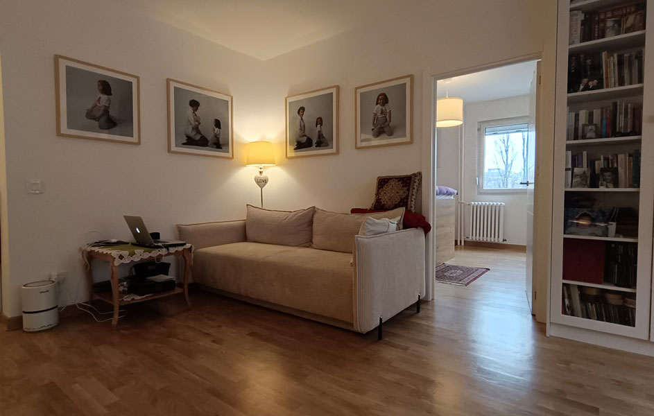 Renoviranje i adaptacija stana u Mihajla Pupina, u Beogradu - Etherba